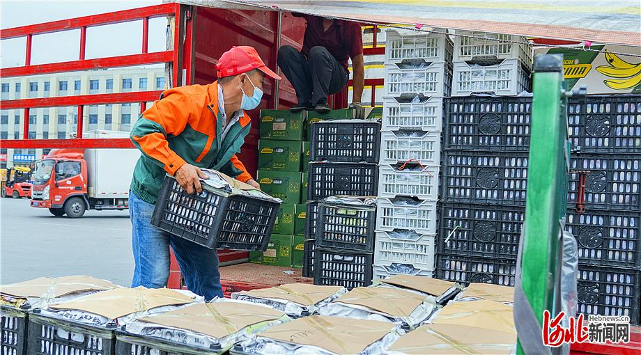 1660529105186278.jpg 果.jpg